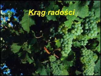 Krąg radości