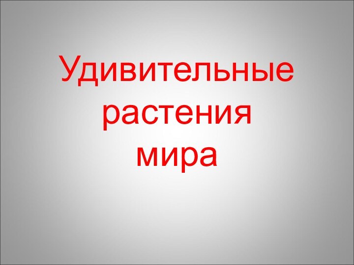 Удивительные растения  мира