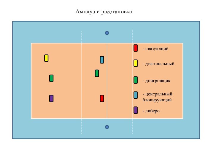 Амплуа и расстановка- связующий- диагональный- доигровщик- центральный блокирующий- либеро