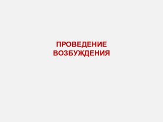 Проведение возбуждения. Нервные волокна