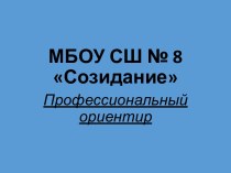 МБОУ СШ № 8 Созидание. Профессиональный ориентир. Профессия - повар