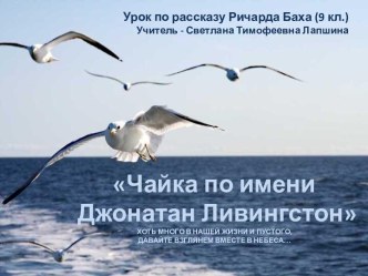 Чайка по имени Джонатан Ливингстон. Урок по рассказу Ричарда Баха (9 кл.)