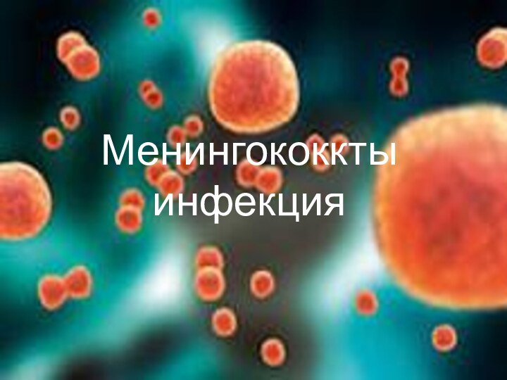 Менингококкты инфекция