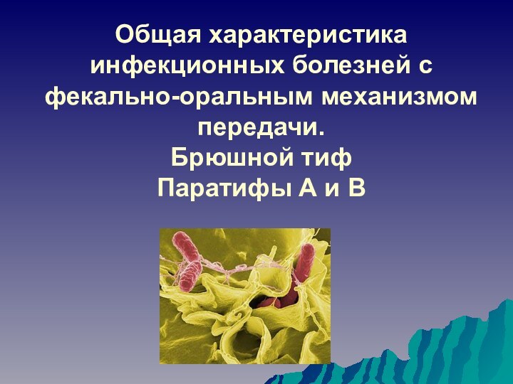 Общая характеристика инфекционных болезней с фекально-оральным механизмом передачи. Брюшной тиф