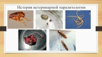 История ветеринарной паразитологии