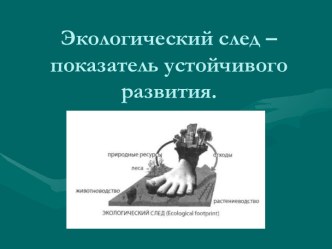 Экологический след. Оценка потребления природных ресурсов. Воздействие на окружающую природную среду отдельного человека, страны