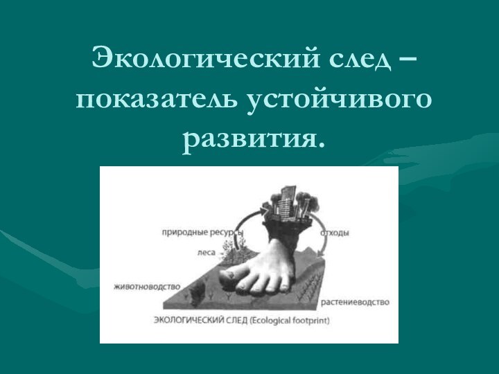 Экологический след – показатель устойчивого развития.