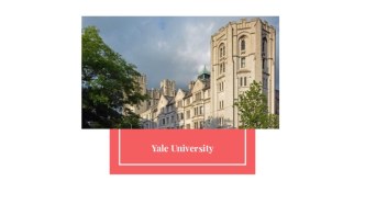 Yale university