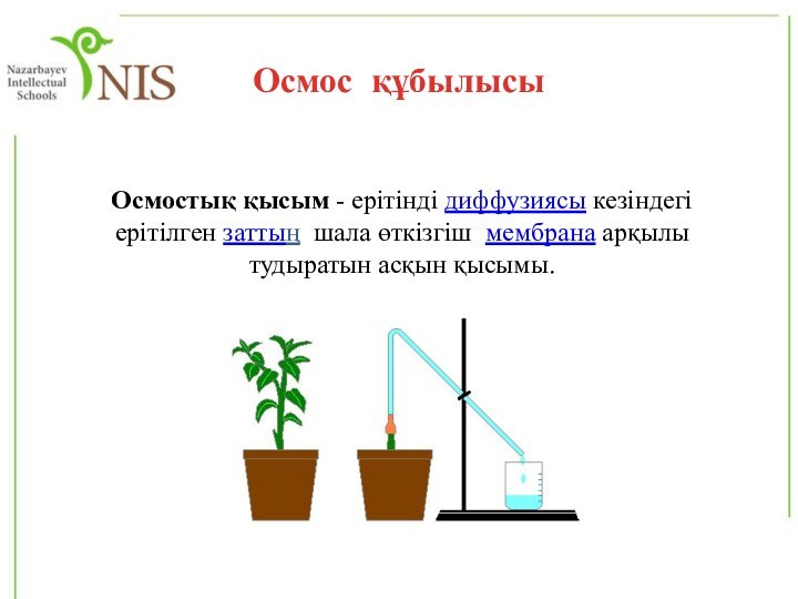 Осмос құбылысыОсмостық қысым - ерітінді диффузиясы кезіндегі ерітілген заттың шала өткізгіш мембрана