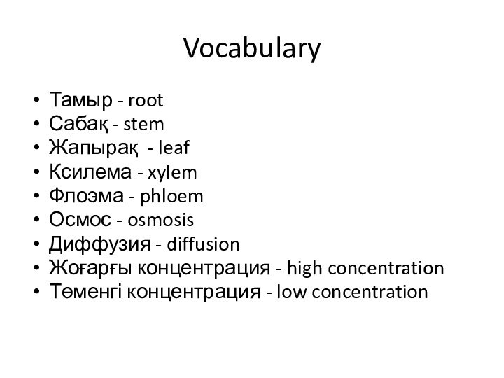 VocabularyТамыр - root Сабақ - stemЖапырақ - leafКсилема - xylemФлоэма - phloemОсмос