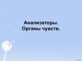 Анализаторы. Органы чувств