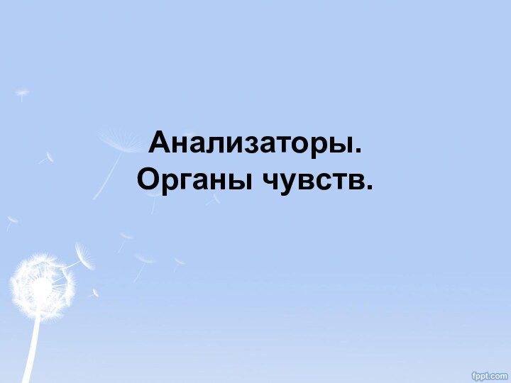 Анализаторы. Органы чувств.