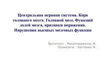 Центральная нервная система. Кора головного мозга. Головной мозг. Функций долей мозга, признаки поражения