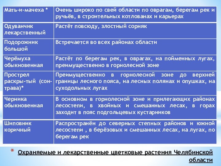 Охраняемые и лекарственные цветковые растения Челябинской области