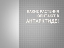 Какие растения обитают в Антарктиде