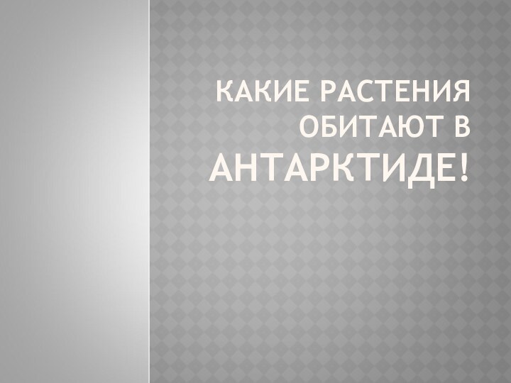 КАКИЕ РАСТЕНИЯ ОБИТАЮТ В АНТАРКТИДЕ!