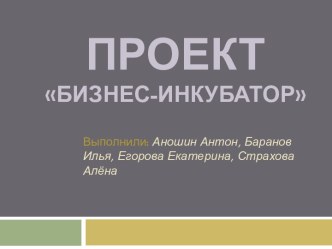 Проект Бизнес-инкубатор