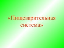 Пищеварительная система