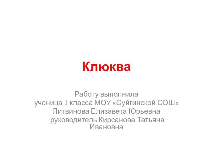 Клюква Работу выполнила ученица 1 класса МОУ «Суйгинской СОШ»Литвинова Елизавета Юрьевна руководитель Кирсанова Татьяна Ивановна