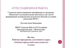 Аттестационная работа. Рабочая программа элективного курса Основы проектной деятельности, 5 класс