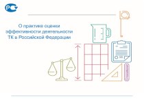 О практике оценки эффективности деятельности ТК в Российской Федерации