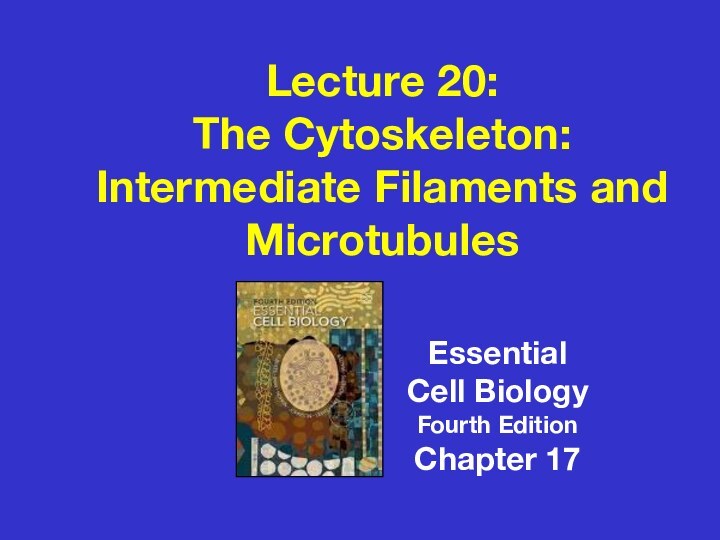 Lecture 20:The Cytoskeleton:Intermediate Filaments and MicrotubulesEssentialCell BiologyFourth EditionChapter 17