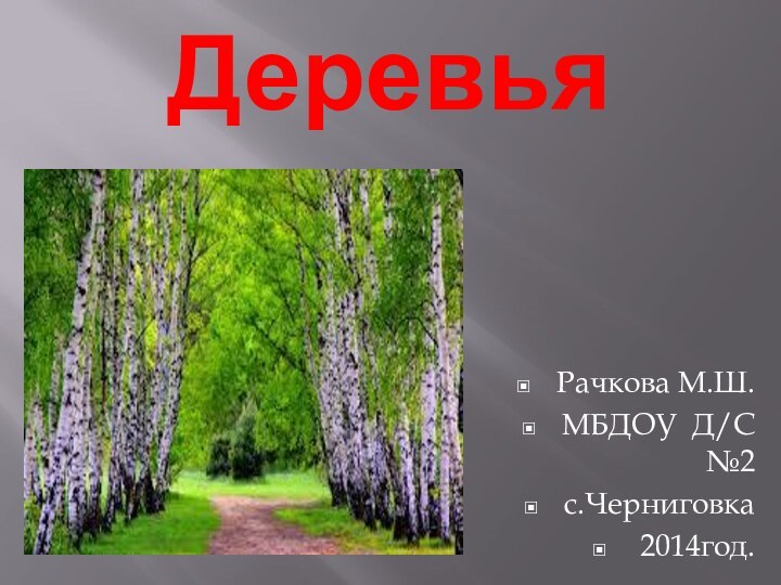 Деревья Рачкова М.Ш.МБДОУ Д/С №2с.Черниговка 2014год.
