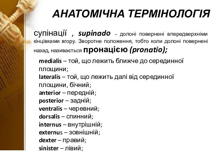 АНАТОМІЧНА ТЕРМІНОЛОГІЯ супінації , supinado - долоні повернені впередверхніми кінцівками вгору. Зворотне