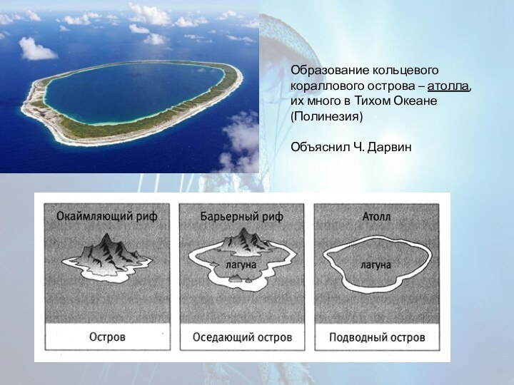 Образование кольцевого кораллового острова – атолла, их много в Тихом Океане (Полинезия)Объяснил Ч. Дарвин