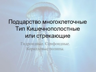 Тип кишечнополостные или стрекающие Гидроидные. Сцифоидные. Коралловые полипы. (Тема 8)