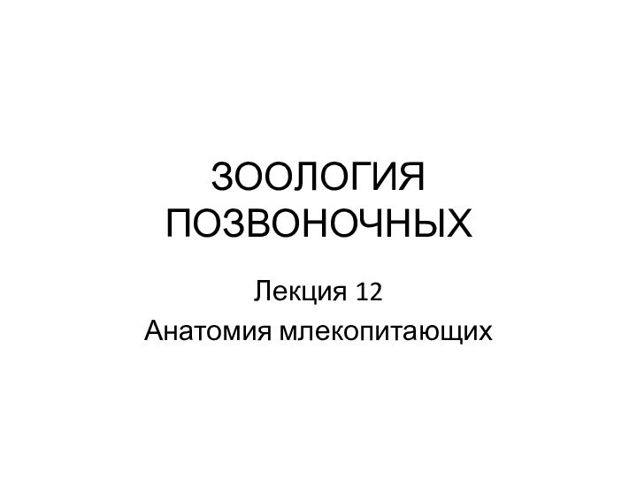 Лекция 12Анатомия млекопитающихЗООЛОГИЯ ПОЗВОНОЧНЫХ