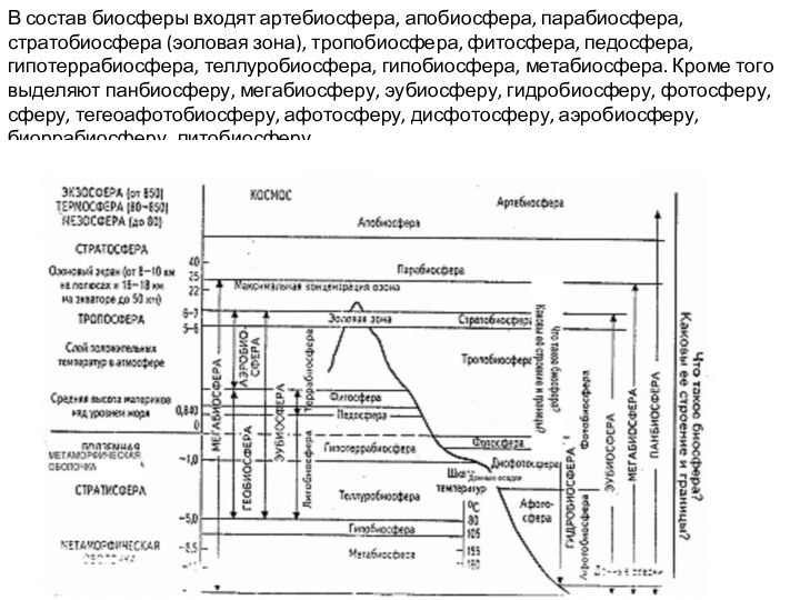 В состав биосферы входят артебиосфера, апобиосфера, парабиосфера, стратобиосфера (эоловая зона), тропобиосфера, фитосфера,