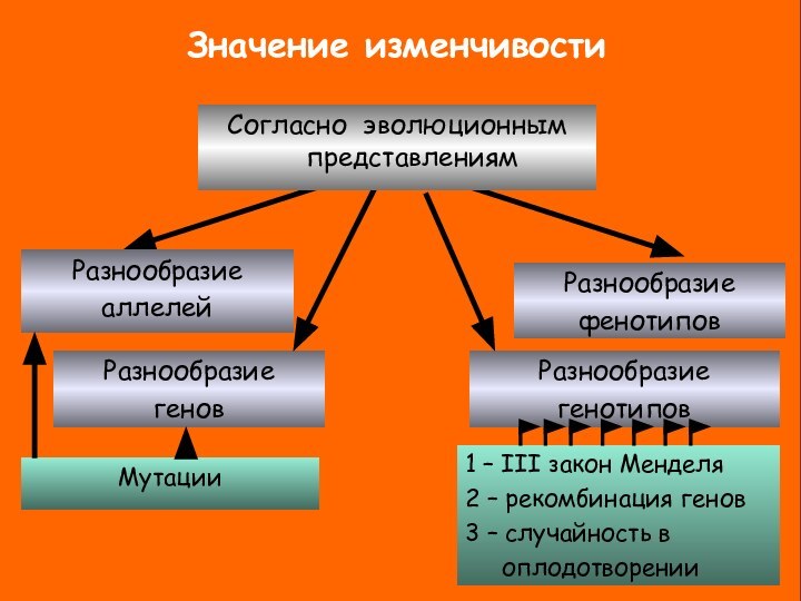 Значение изменчивостиРазнообразиеаллелейРазнообразиефенотиповРазнообразие геновРазнообразие генотипов1 – III закон Менделя2 – рекомбинация генов3 –