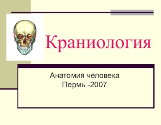 Краниология. Особенности костей черепа