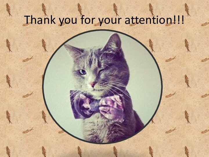 Thank you for your attention!!!