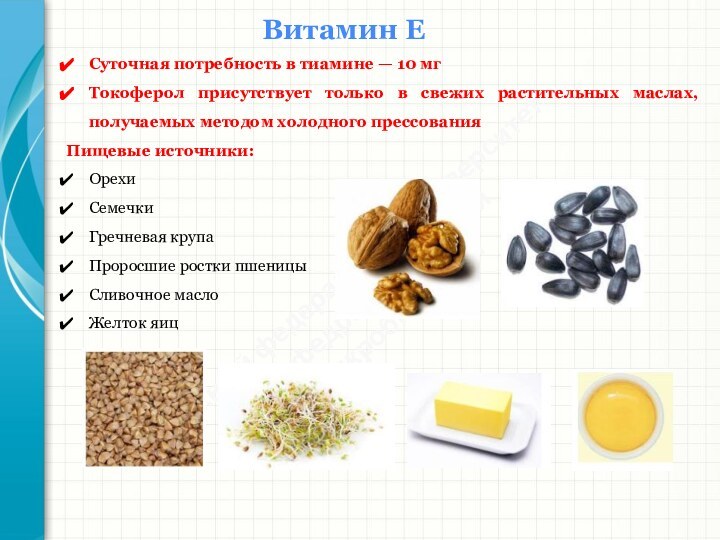 Южный федеральный университетКафедра биохимии и микробиологииВитамин ЕСуточная потребность в тиамине — 10