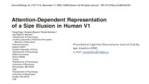 Attention - Dependent Representation of a Size Illusion in Human V1