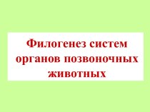 Филогенез систем органов позвоночных животных