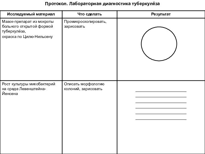 Протокол. Лабораторная диагностика туберкулёза