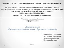 Систематика семейств хомякообразных и слепышей