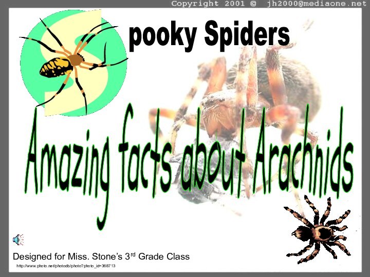 pooky Spiders Designed for Miss. Stone’s 3rd Grade ClassAmazing facts about Arachnids http://www.photo.net/photodb/photo?photo_id=368713