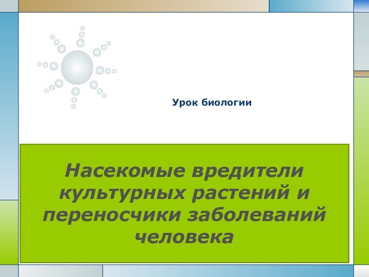 Насекомые вредители культурных растений и переносчики заболеваний человекаУрок биологии