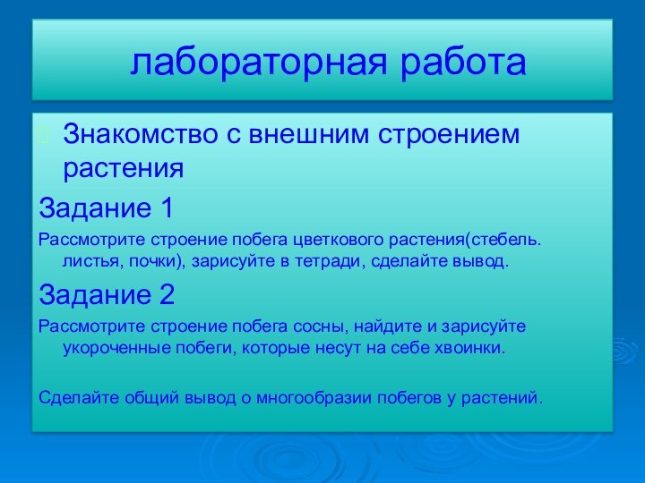 лабораторная работаЗнакомство с внешним строением растенияЗадание 1Рассмотрите строение побега цветкового растения(стебель. листья,