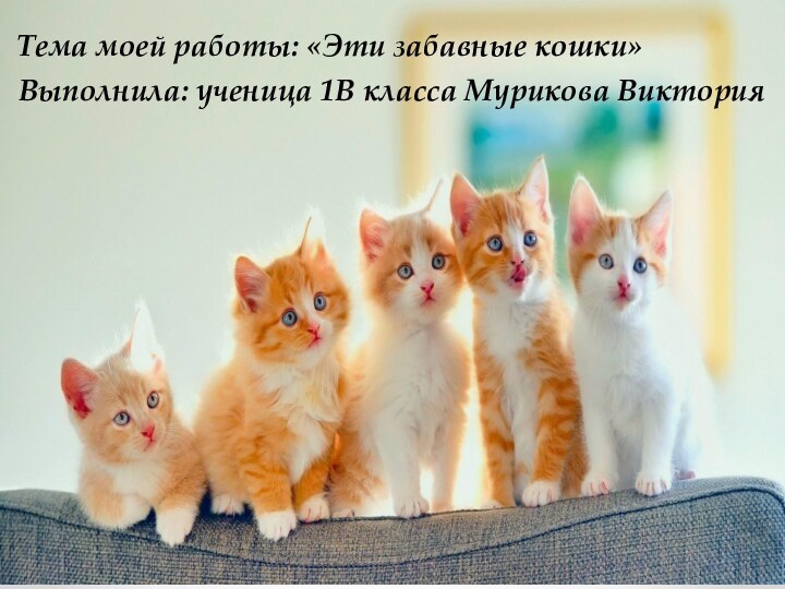 Тема моей работы: «Эти забавные кошки»Выполнила: ученица 1В класса Мурикова Виктория