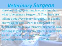 Veterinary Surgeon