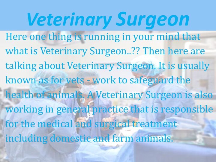 Veterinary SurgeonHere one thing is running in your mind that what is