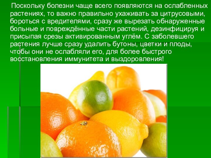 Поскольку болезни чаще всего появляются на ослабленных растениях, то важно