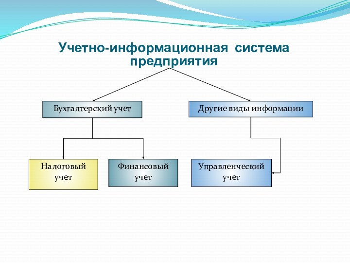 Учетно-информационная система предприятияБухгалтерский учетДругие виды информацииНалоговыйучетФинансовый учетУправленческий учет