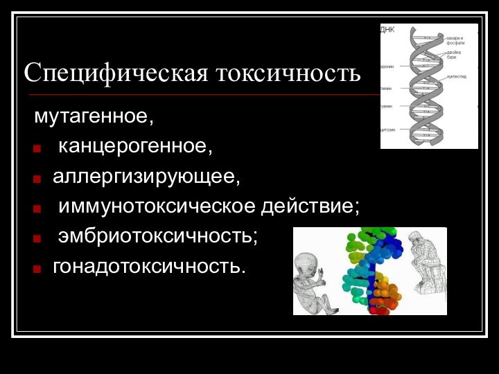 Специфическая токсичностьмутагенное, канцерогенное, аллергизирующее, иммунотоксическое действие; эмбриотоксичность; гонадотоксичность.