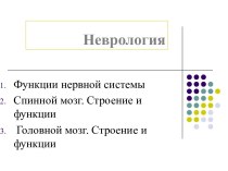 Неврология. Функции нервной системы. Спинной и головной мозг. Строение и функции